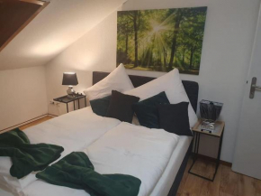 Waterfalls Apartment Triberg Im Schwarzwald